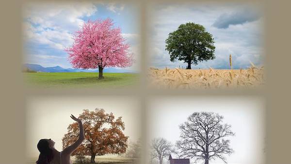 SAGGIO DI DANZA: LE 4 STAGIONI