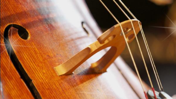 CONCERTO DI CAPODANNO