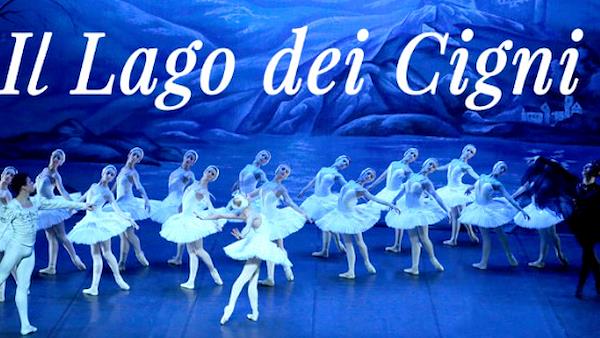 IL LAGO DEI CIGNI