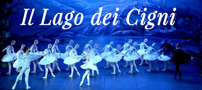 IL LAGO DEI CIGNI