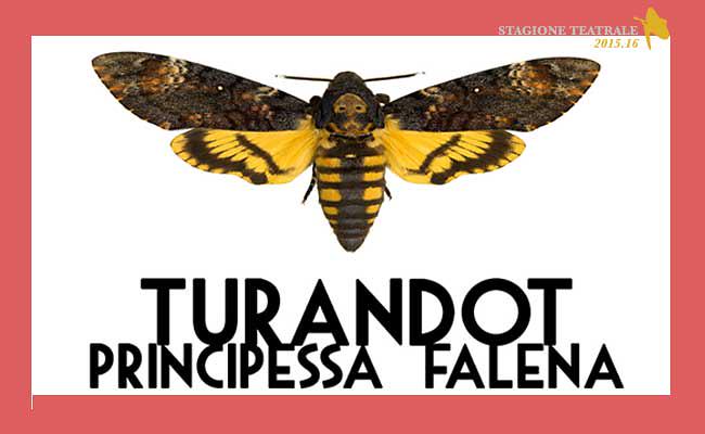 Turandot, principessa falena